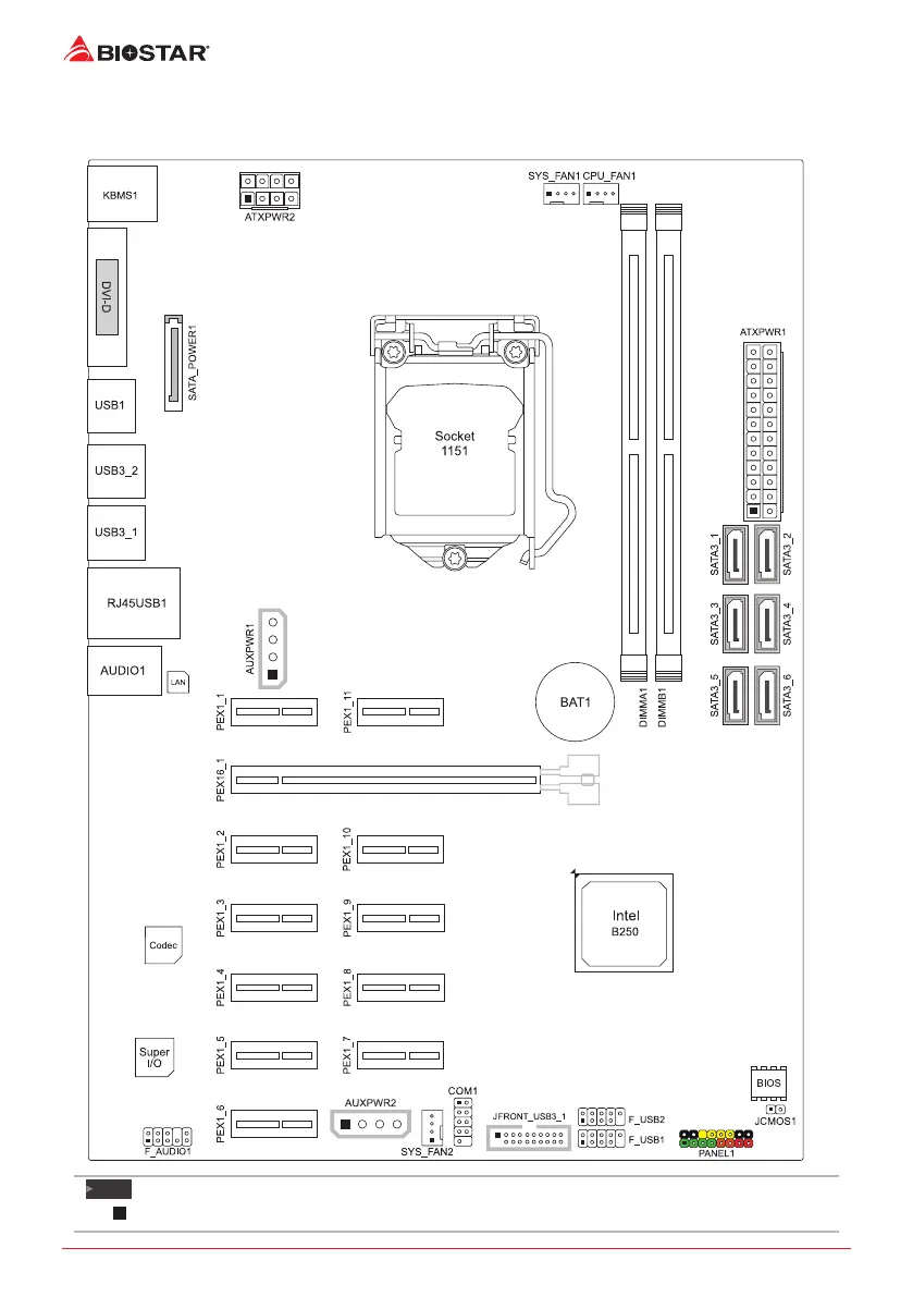 Page #6 background image