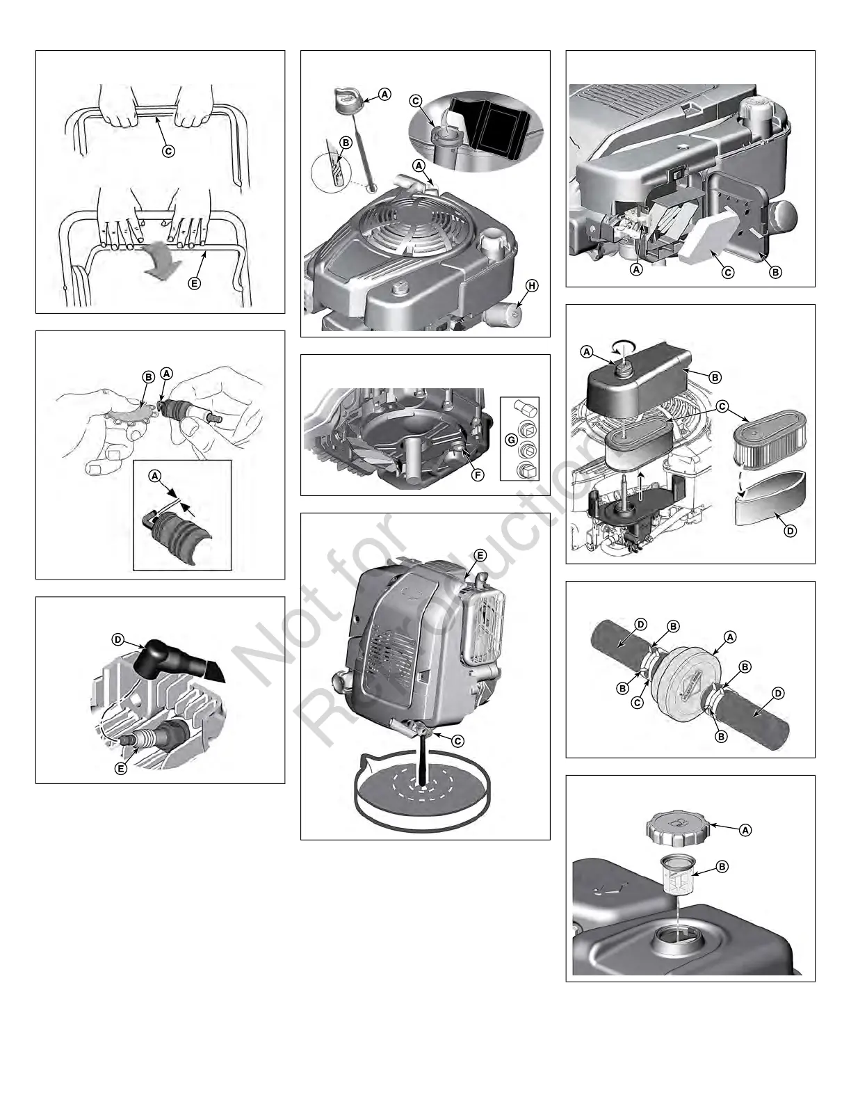 Page #3 background image
