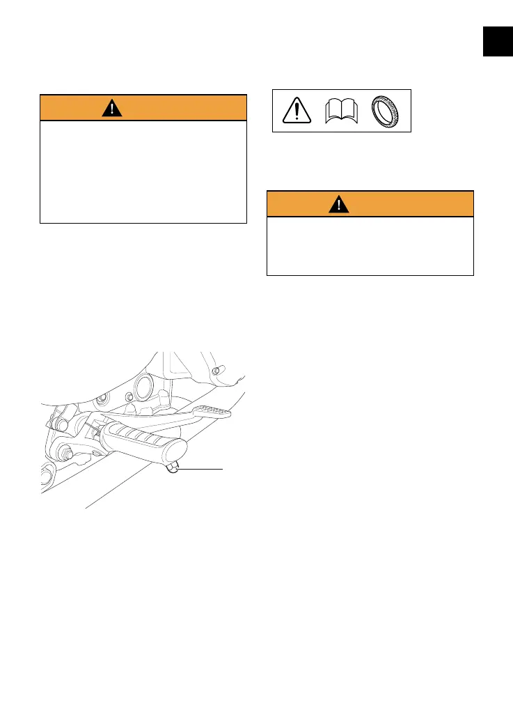 Page #131 background image