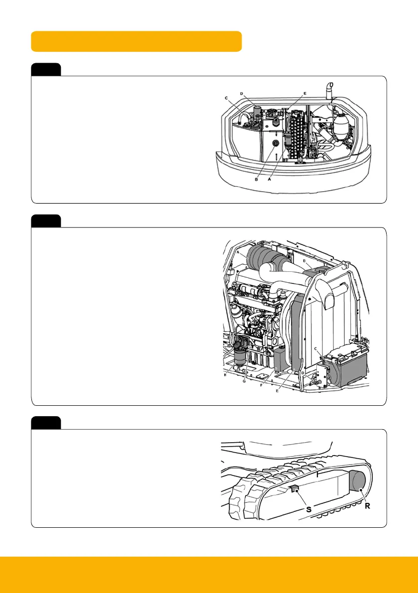 Page #19 background image
