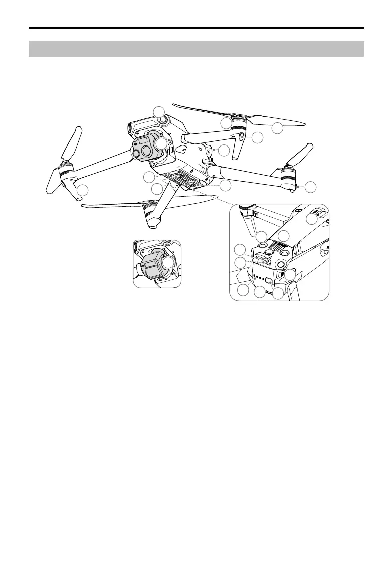 Page #10 background image