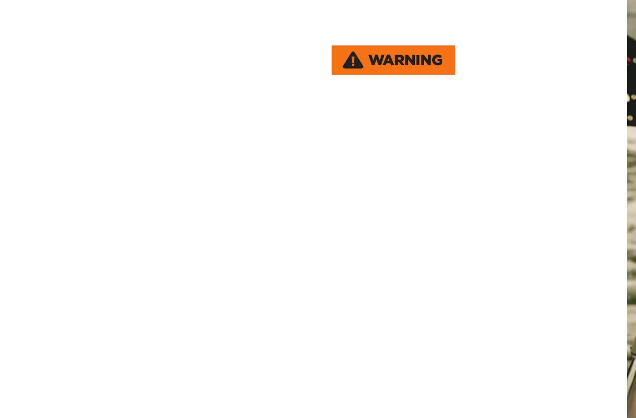 Page #489 background image