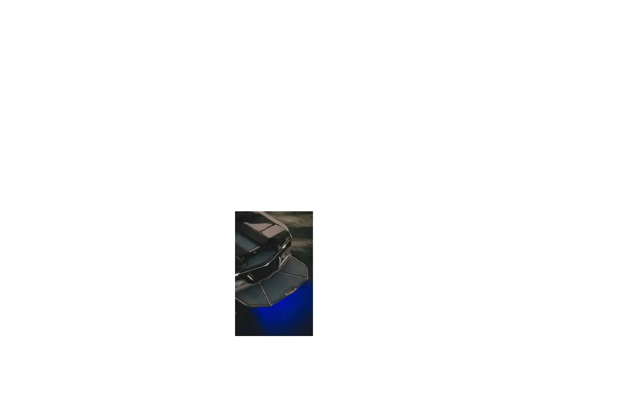 Page #246 background image
