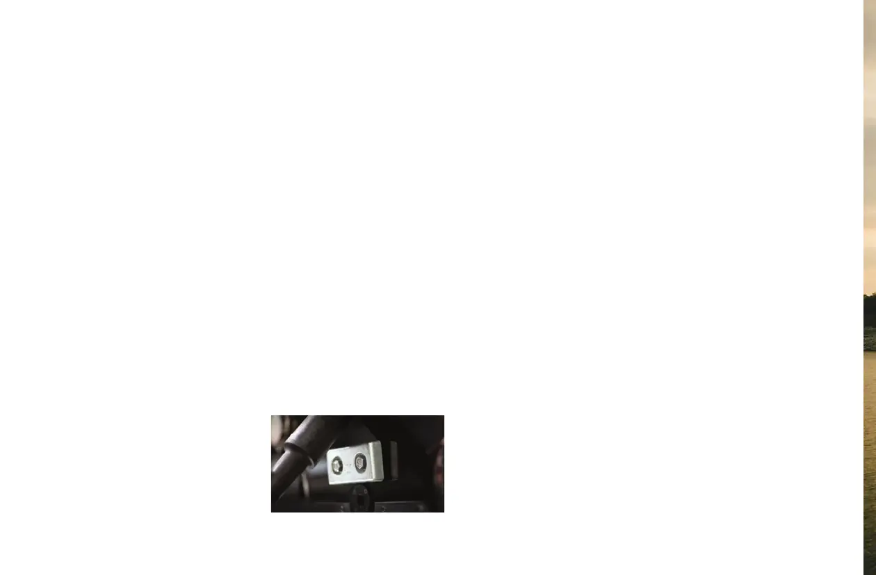Page #239 background image