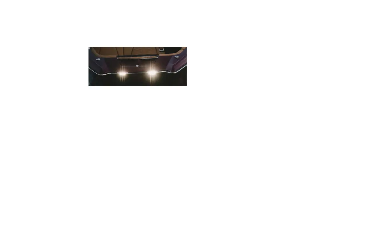 Page #244 background image