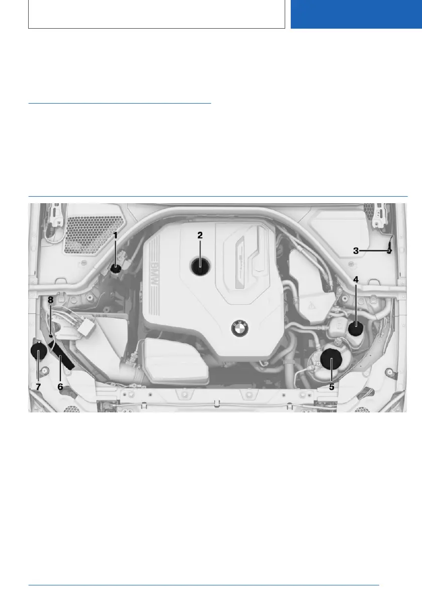 Page #393 background image