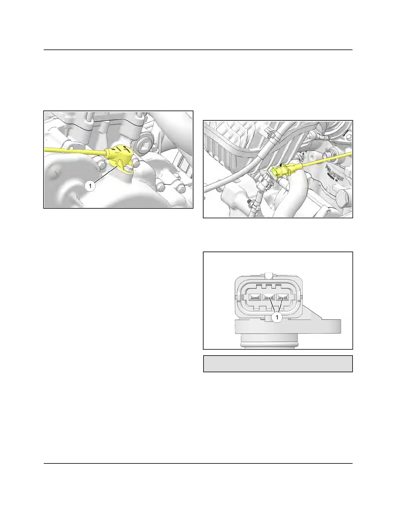 Page #246 background image