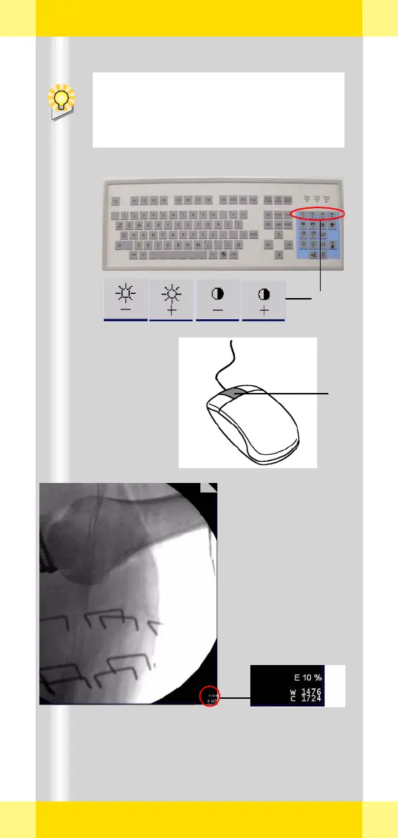 Page #62 background image