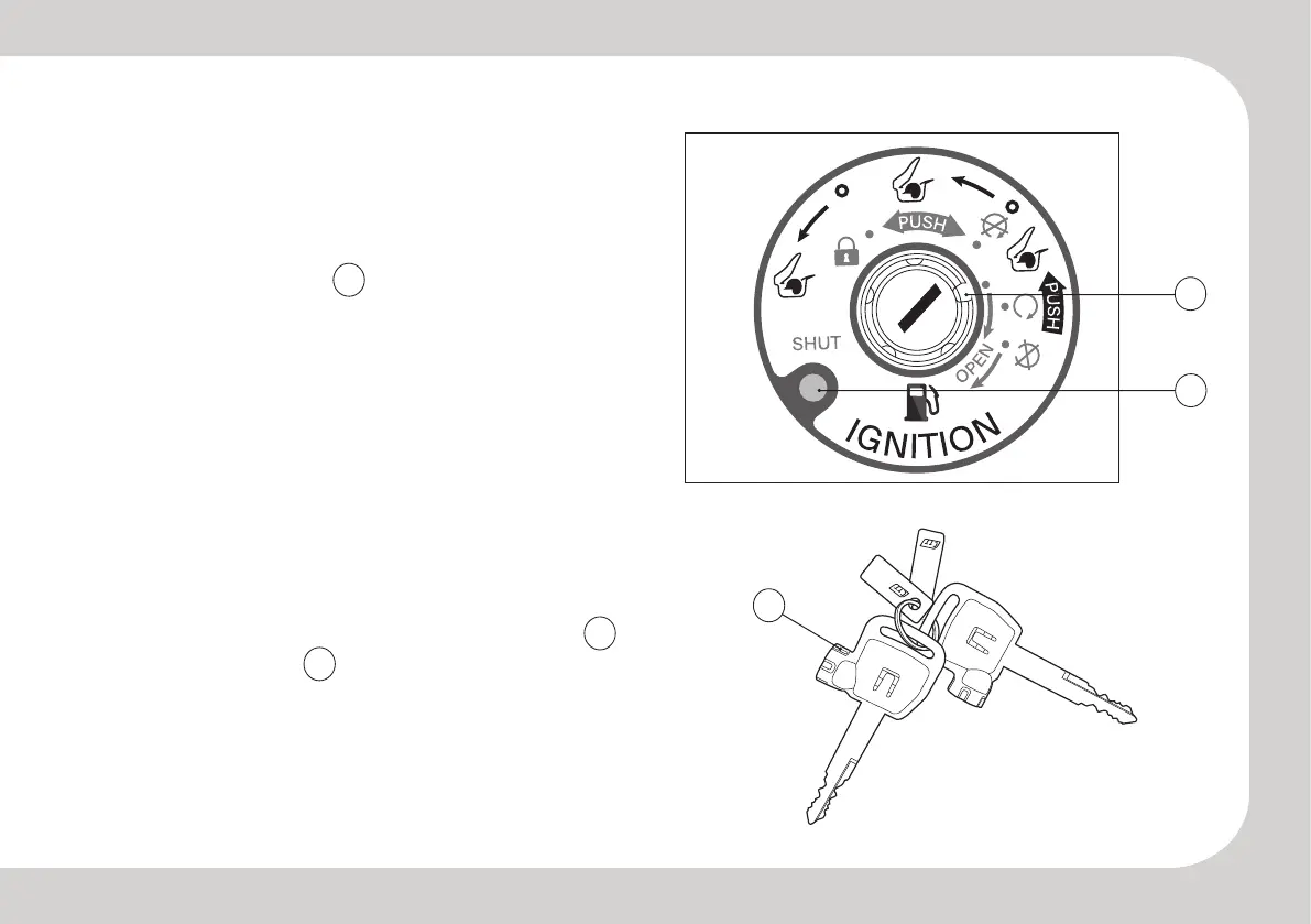Page #21 background image