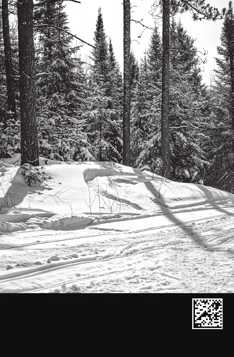 Page #243 background image