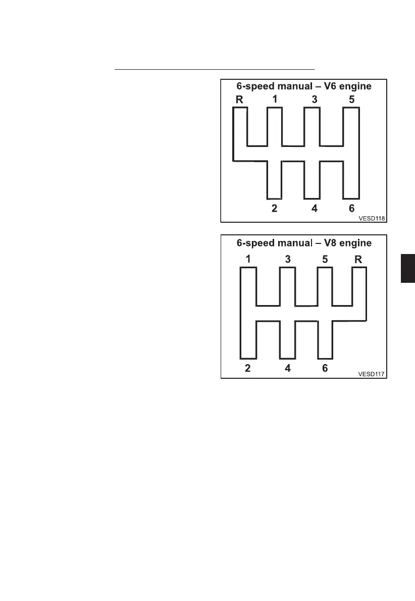 Page #225 background image