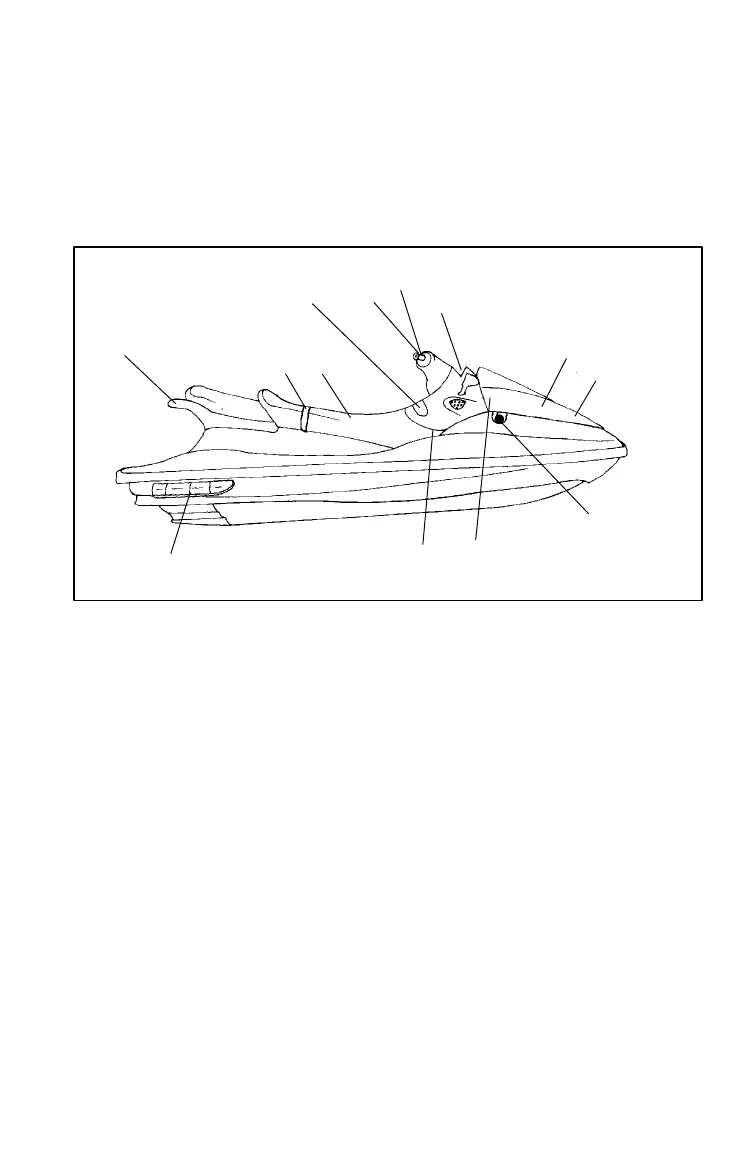 Page #43 background image
