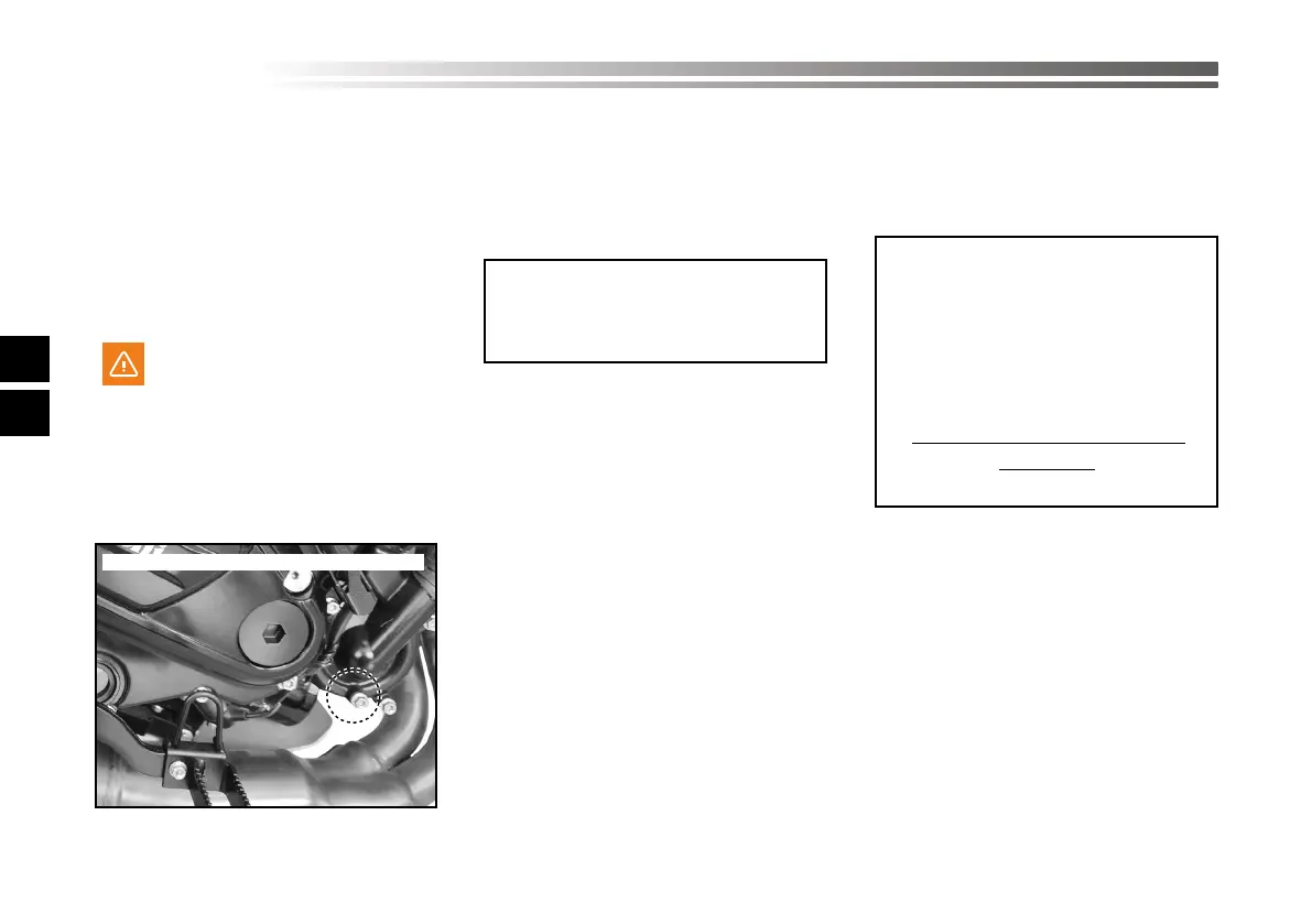 Page #258 background image
