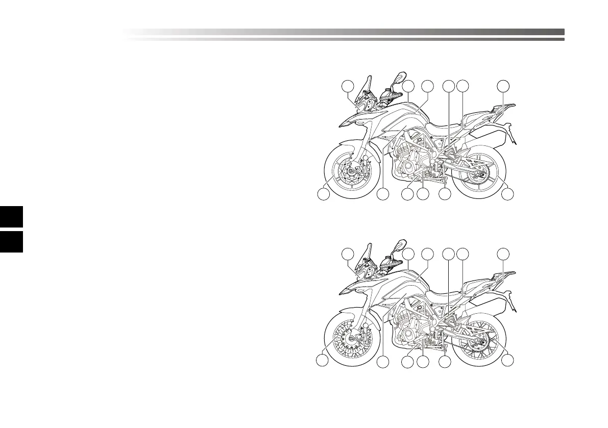 Page #309 background image