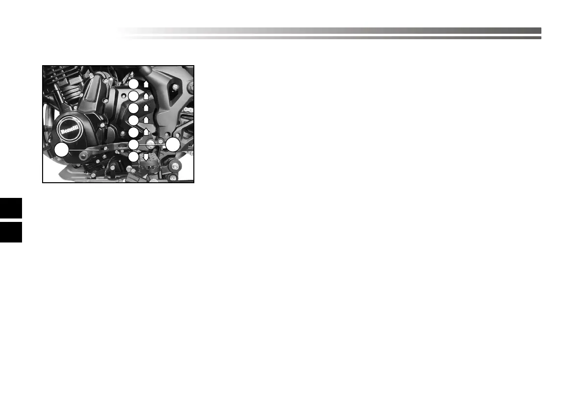 Page #339 background image