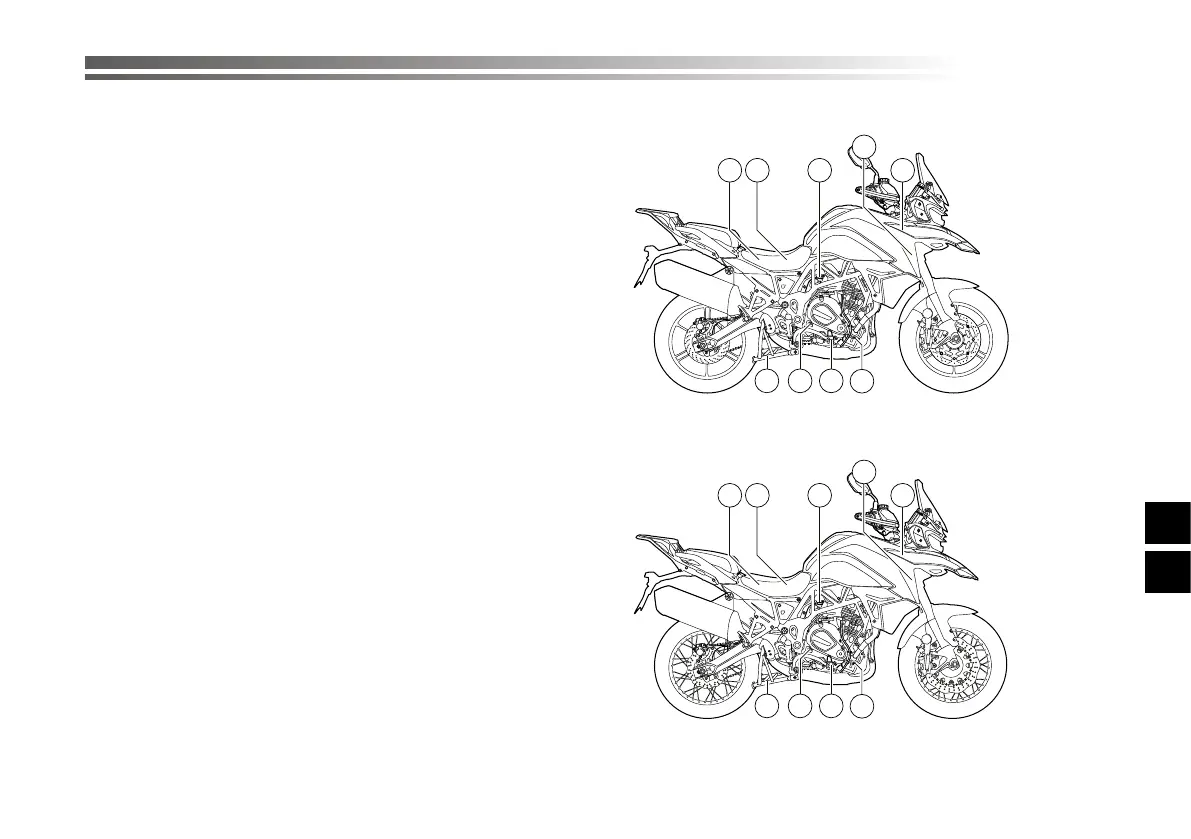 Page #409 background image