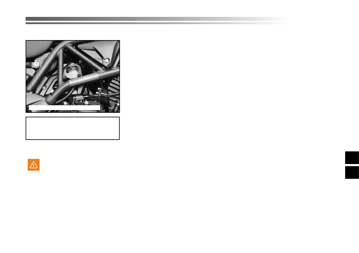 Page #461 background image