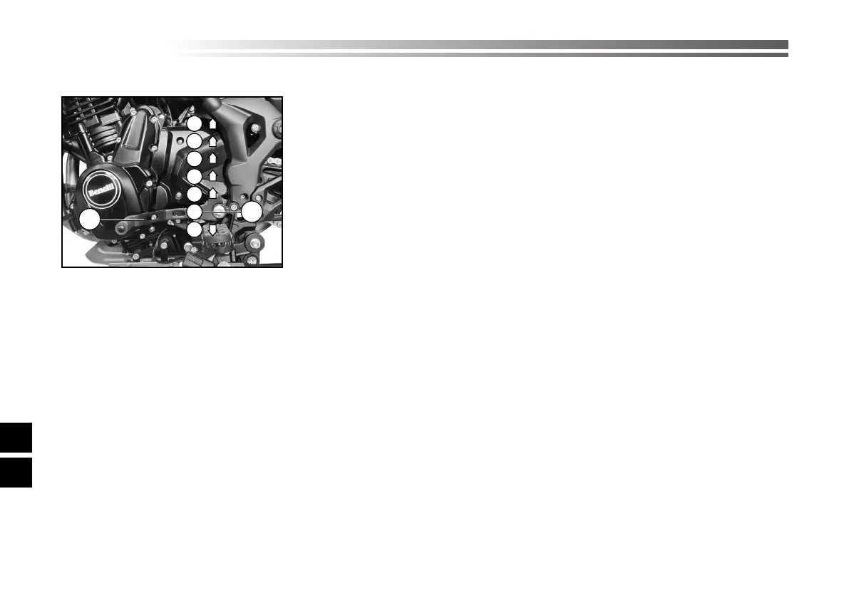 Page #536 background image