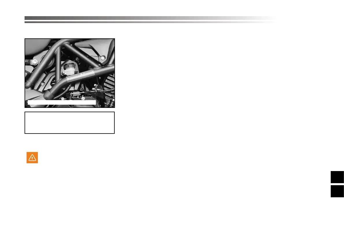 Page #559 background image