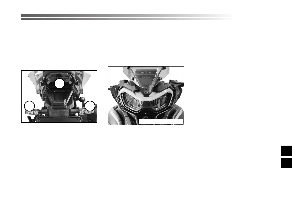 Page #569 background image