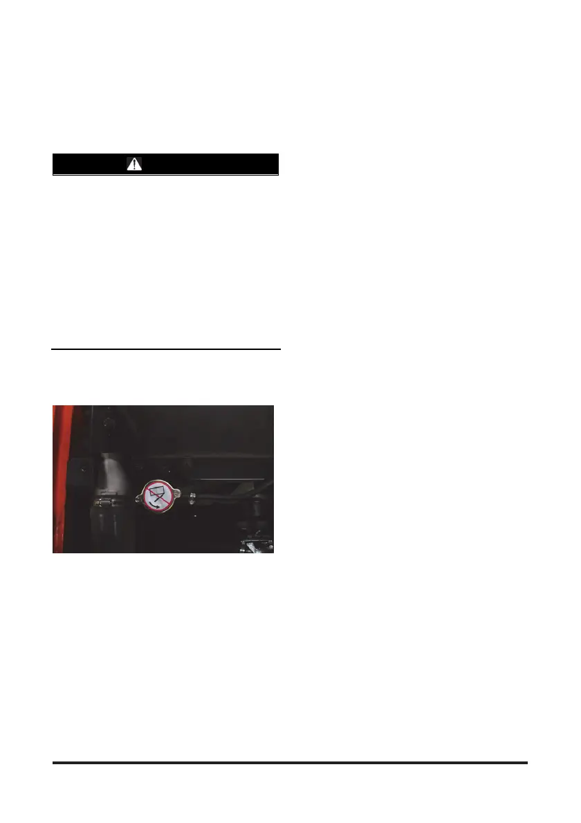 Page #171 background image