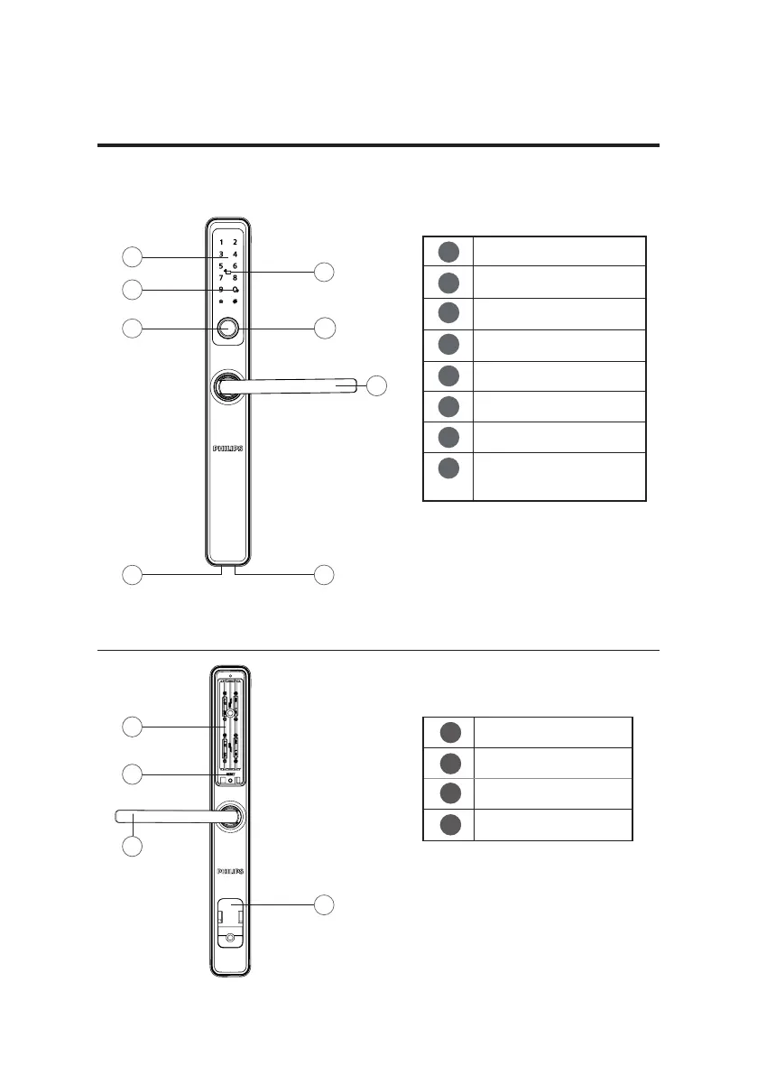 Page #11 background image