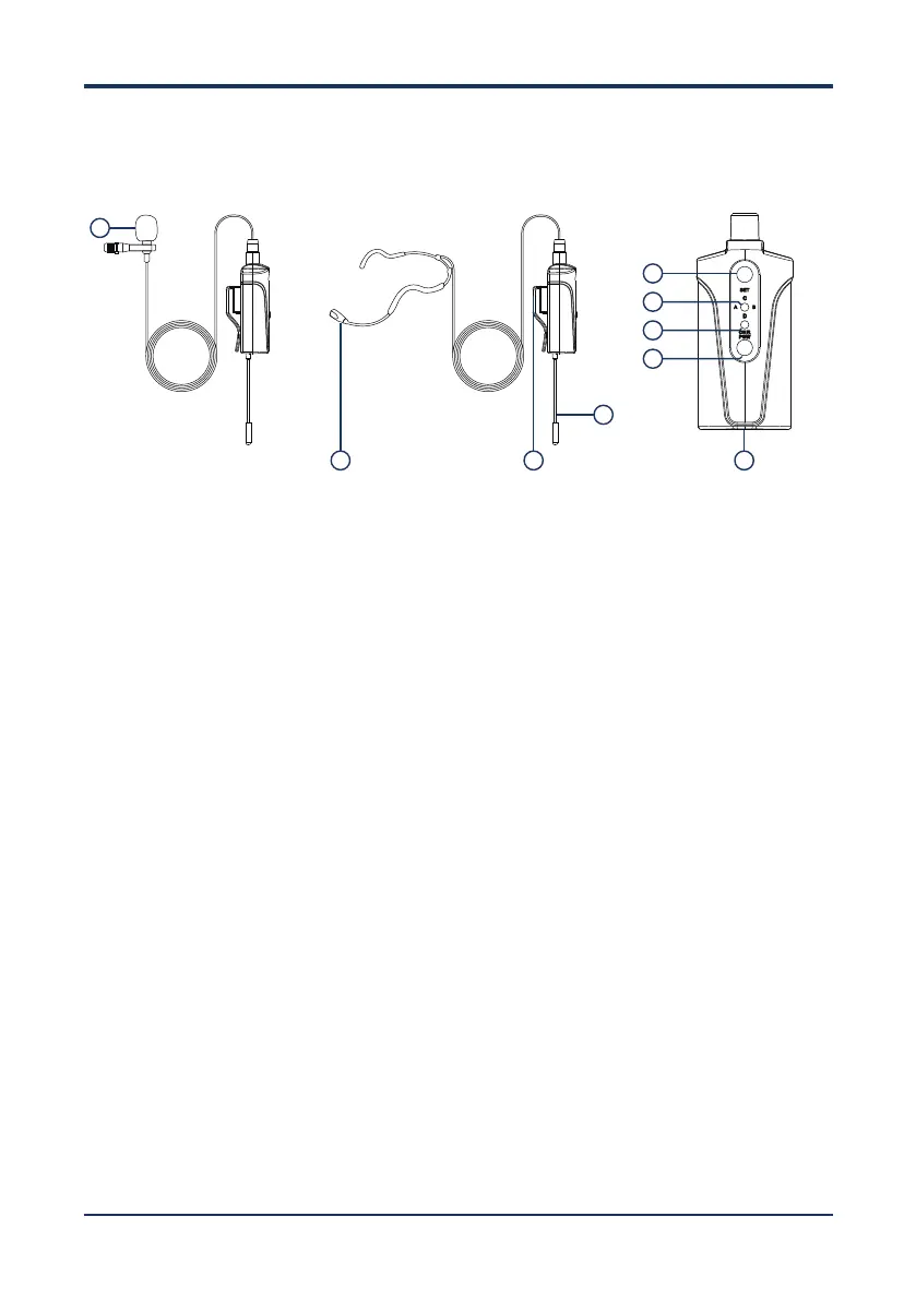 Page #11 background image