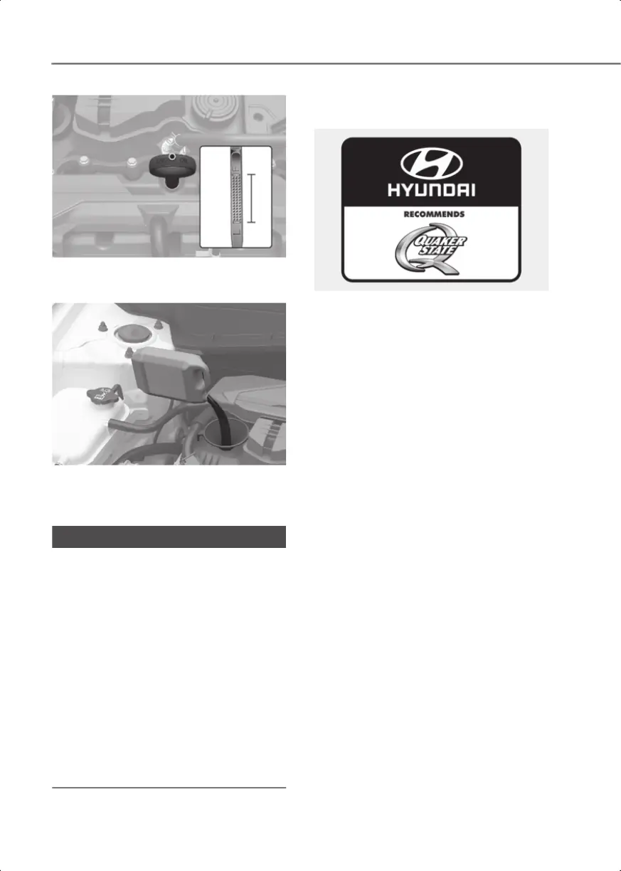 Page #517 background image