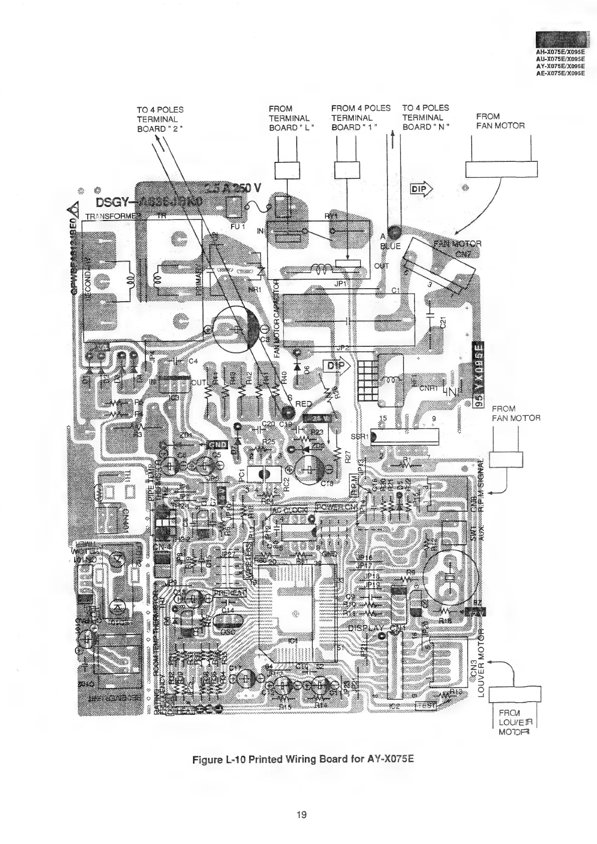 Page #19 background image