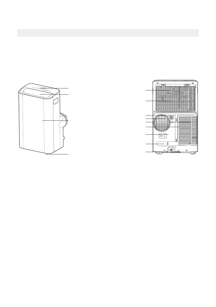 Page #11 background image