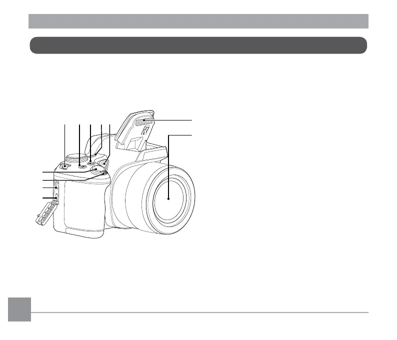 Page #19 background image