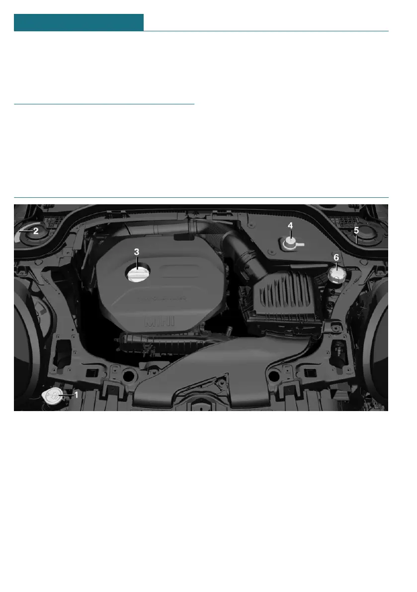 Page #272 background image