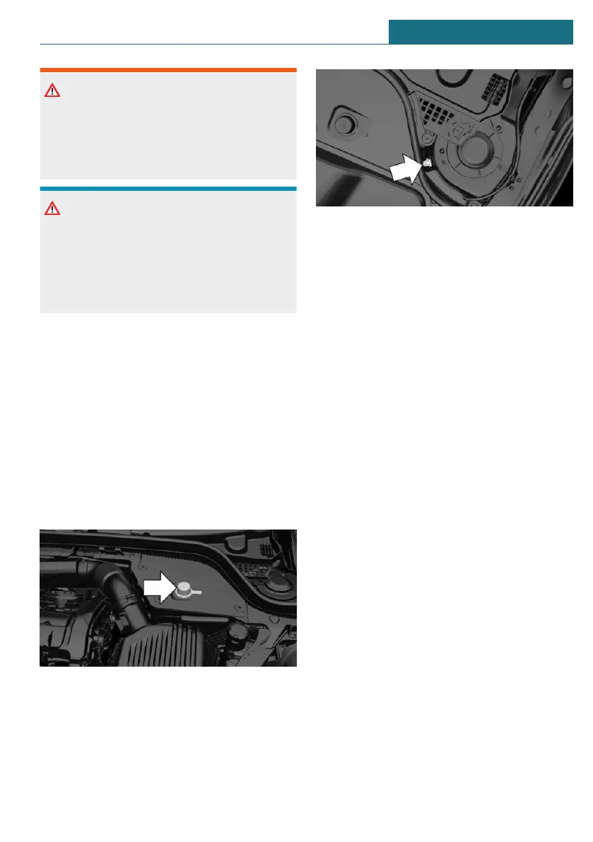 Page #295 background image