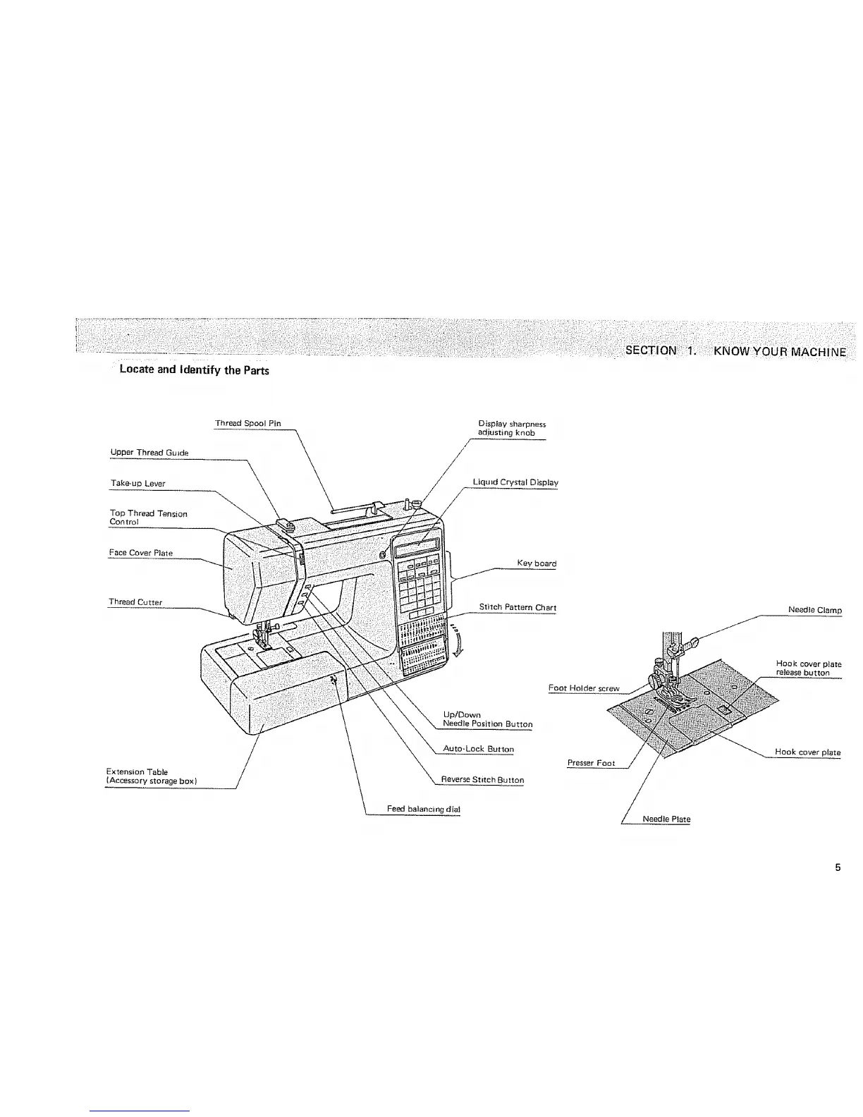 Page #7 background image