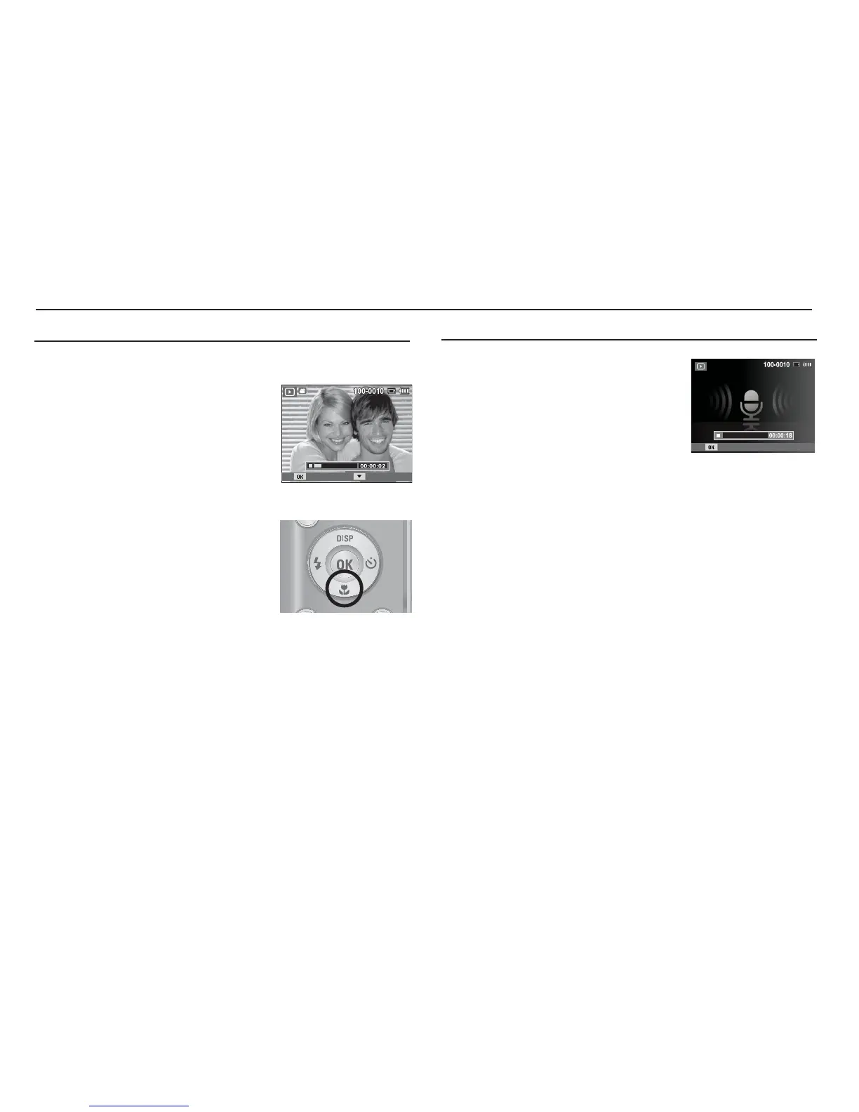 Page #55 background image