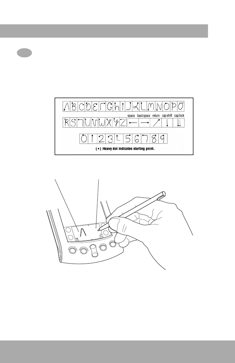Page #6 background image