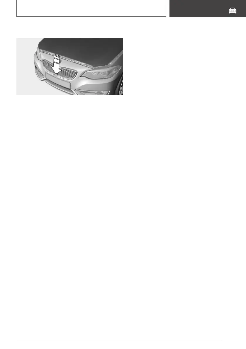 Page #231 background image