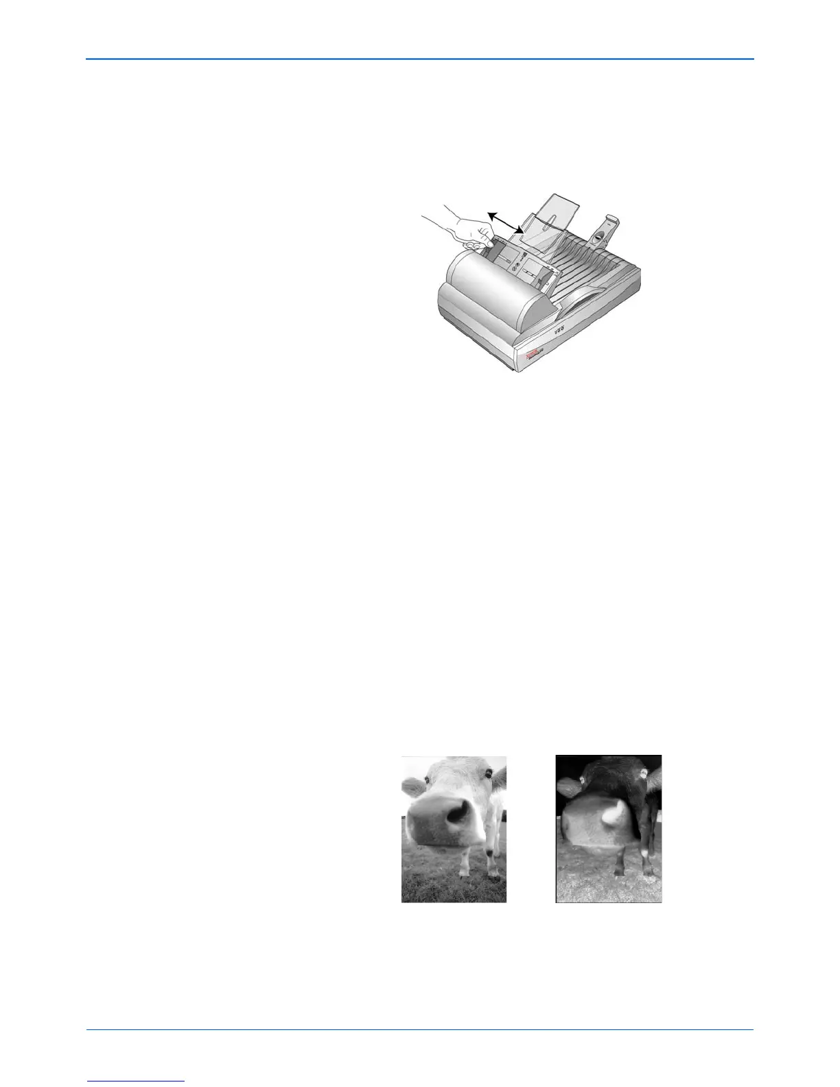 Page #61 background image