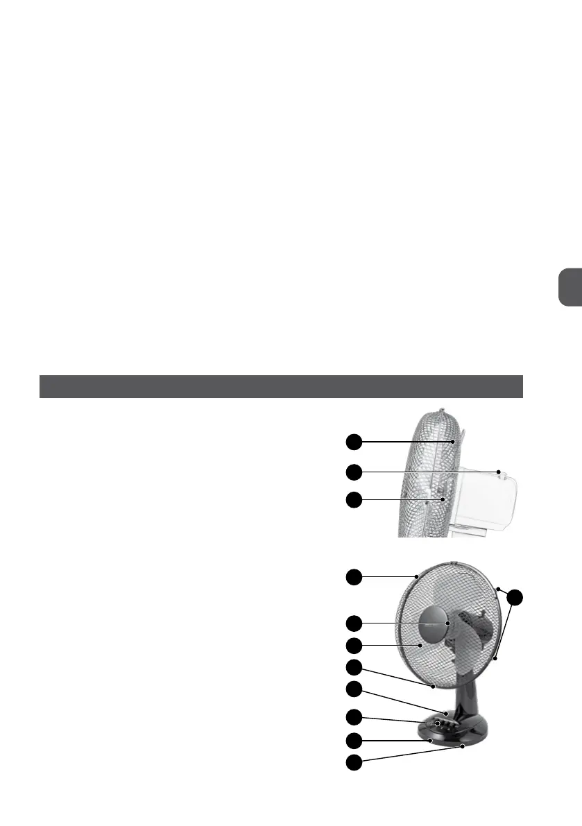 Page #25 background image