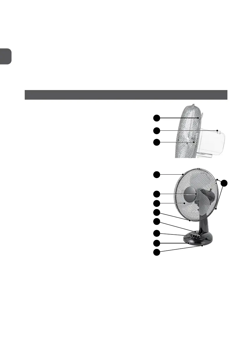 Page #4 background image