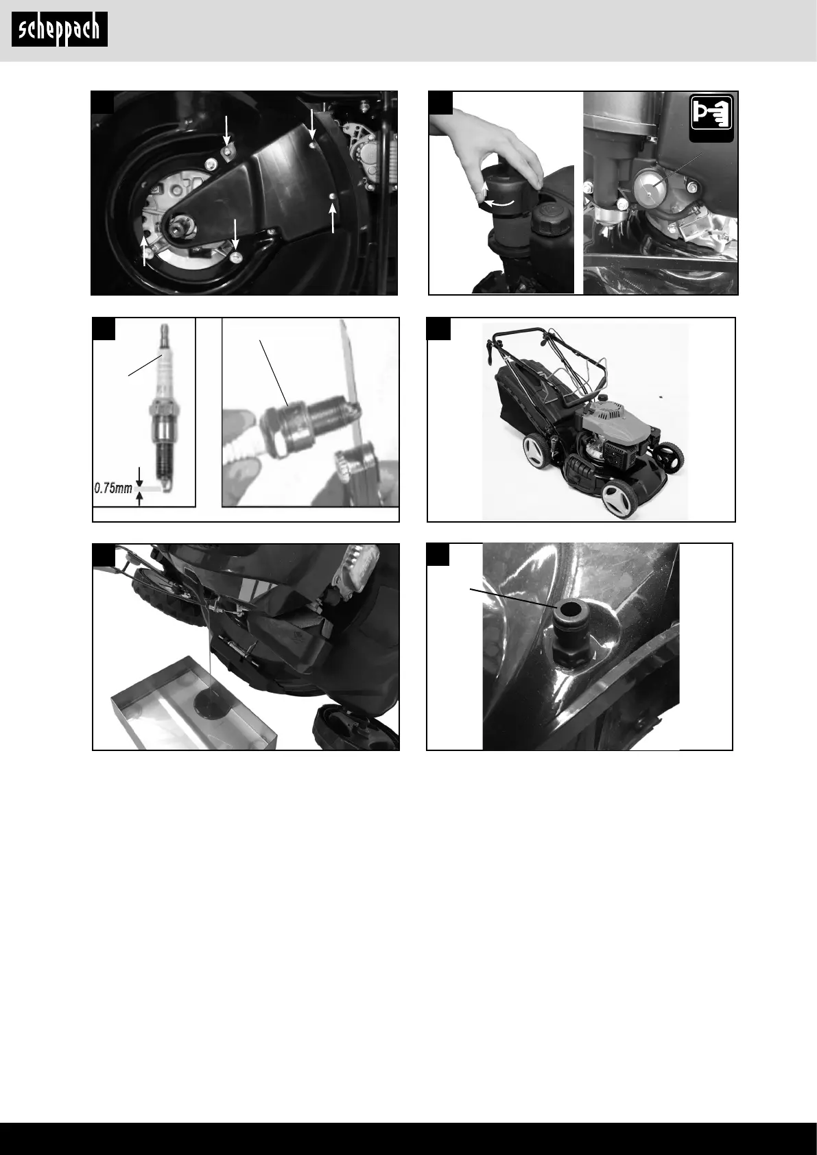 Page #6 background image