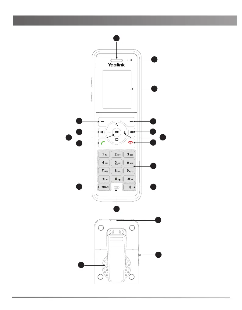 Page #6 background image