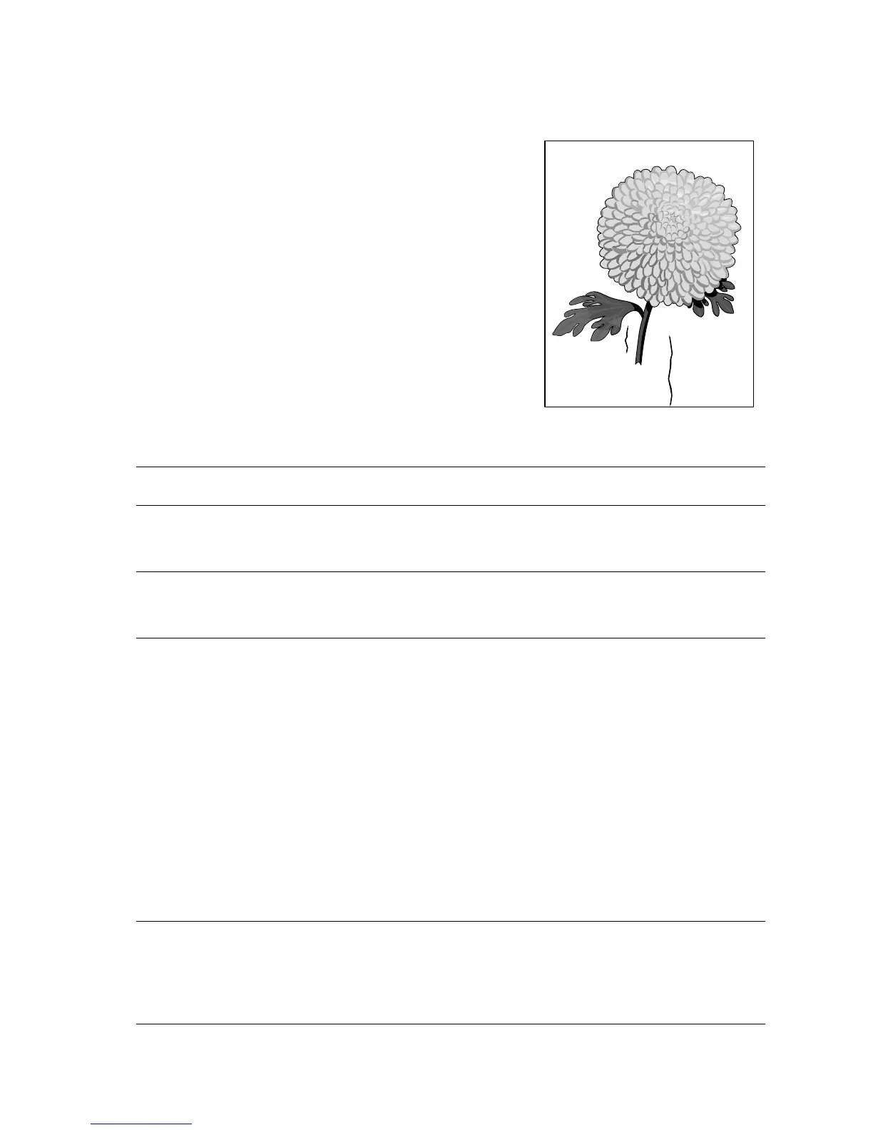Page #258 background image