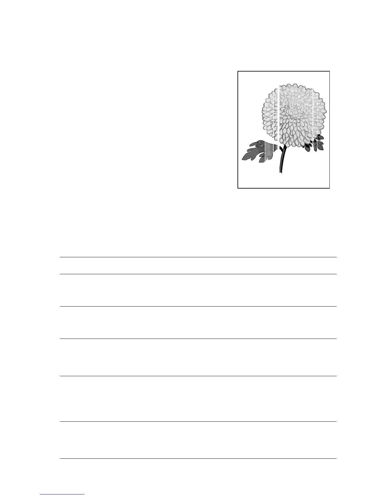 Page #244 background image