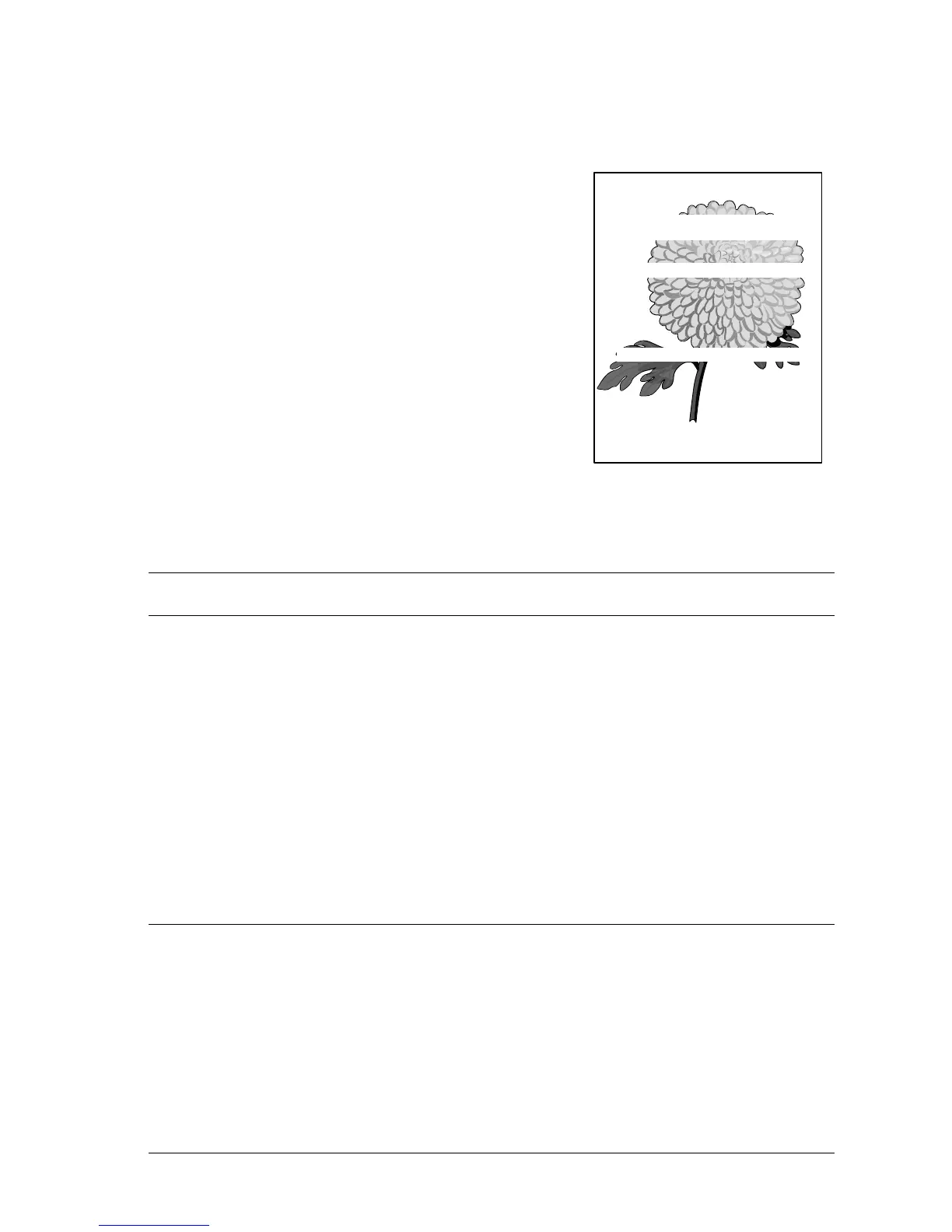 Page #246 background image