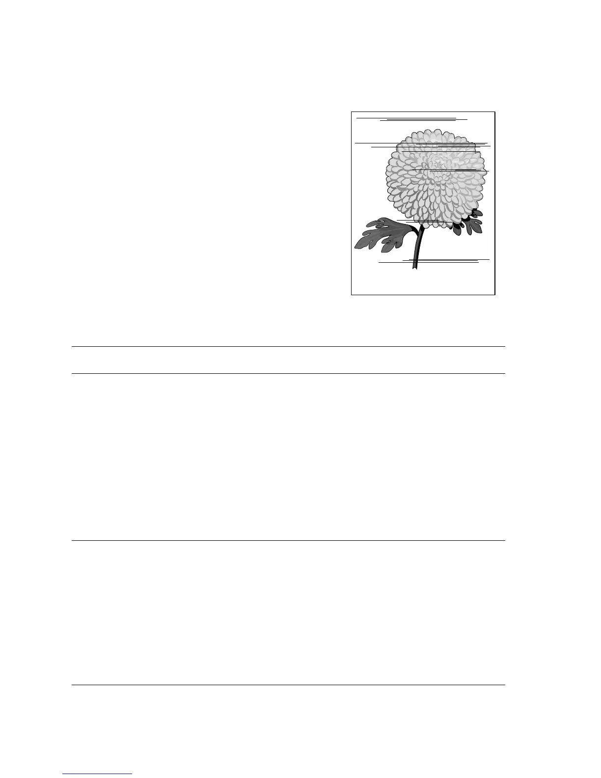 Page #251 background image