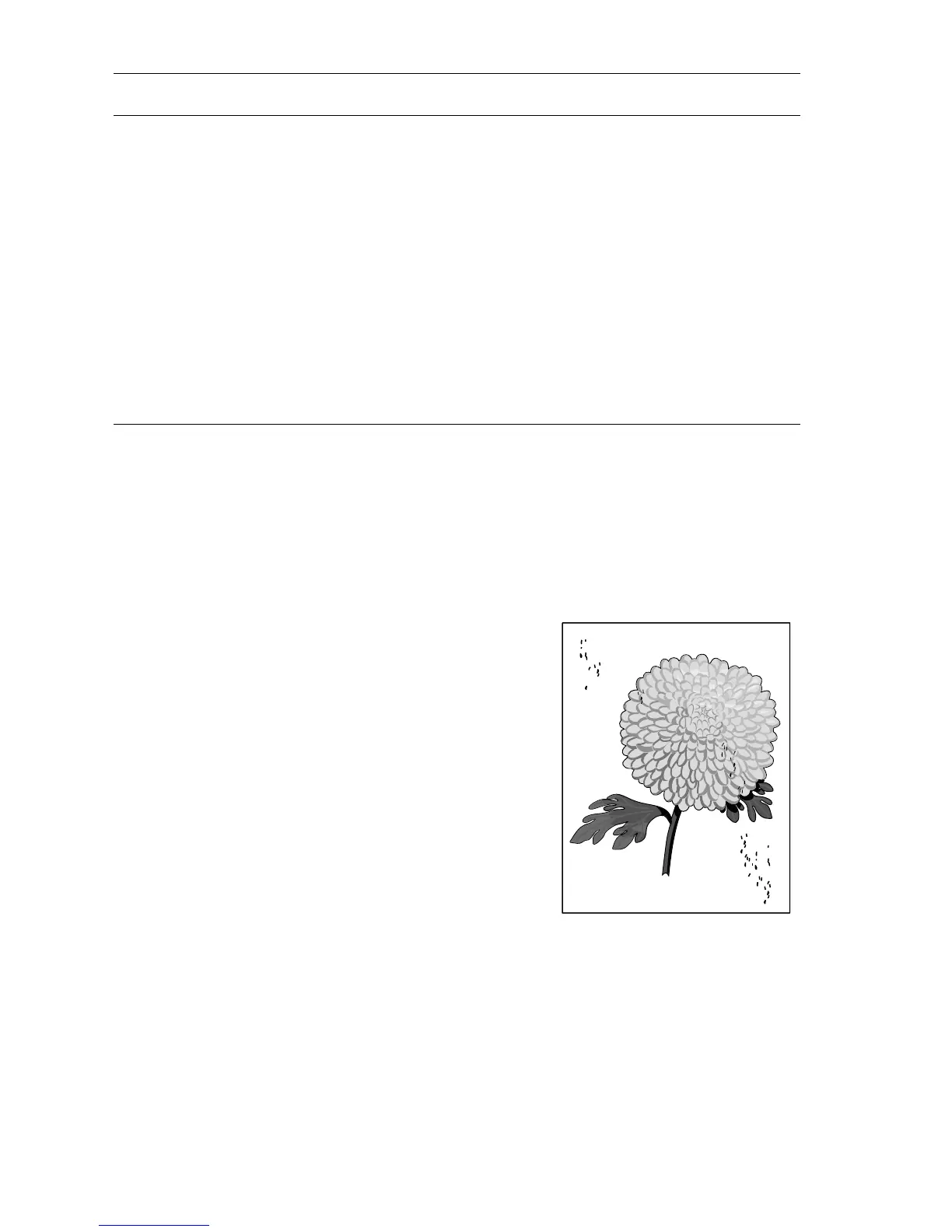 Page #253 background image