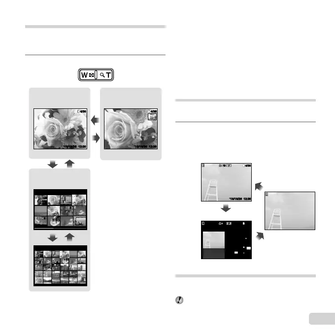 Page #25 background image