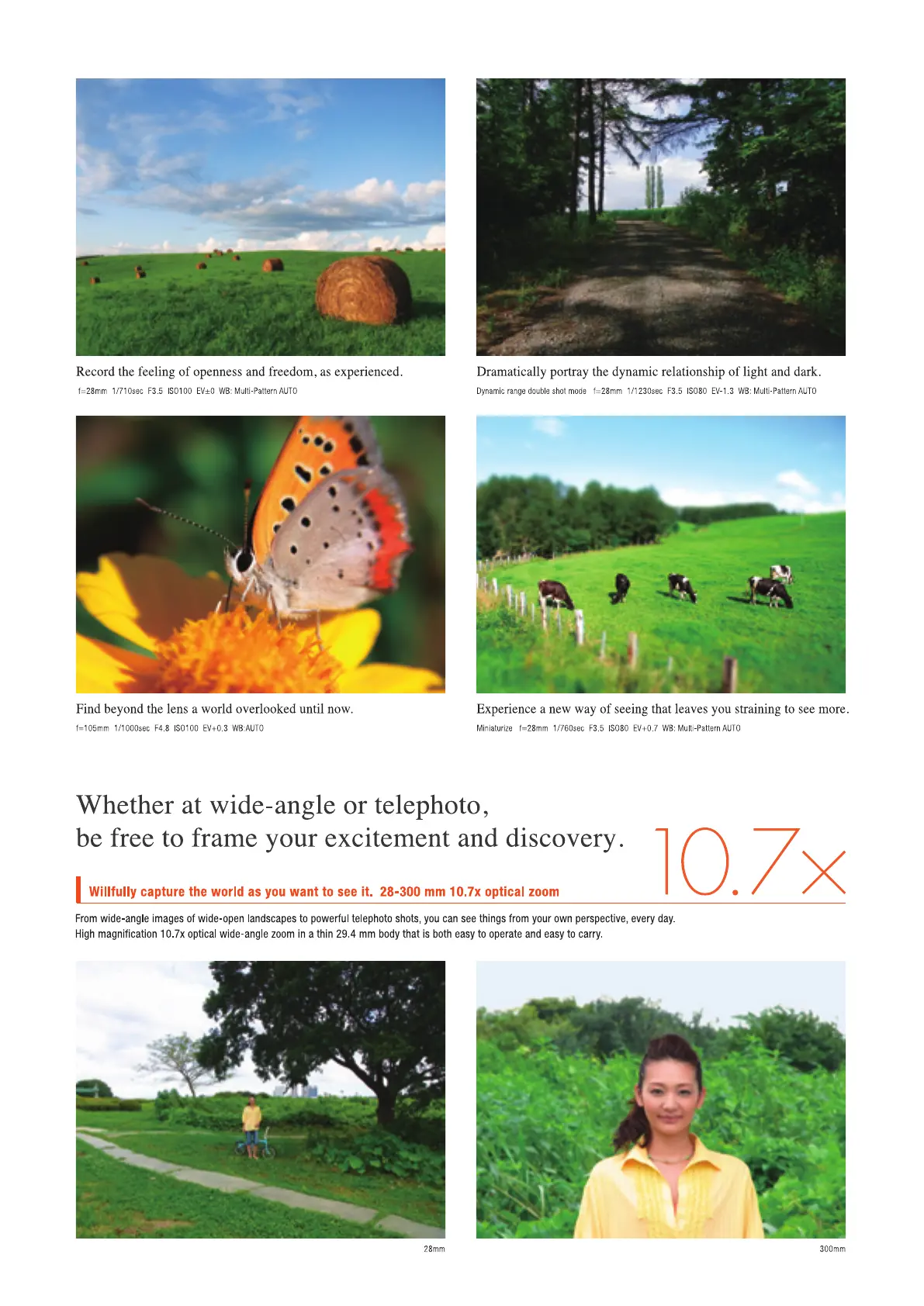 Page #2 background image
