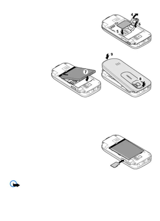 Page #13 background image